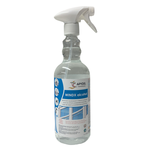 [AA0309] Windx Glass and Mirror Cleaner